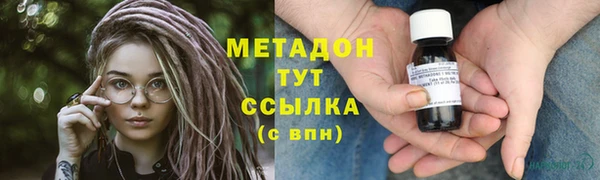 прущие грибы Михайловск