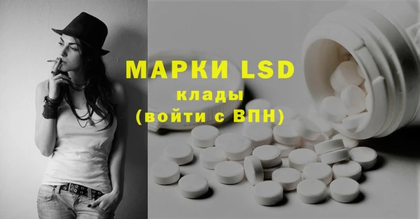 прущие грибы Михайловск