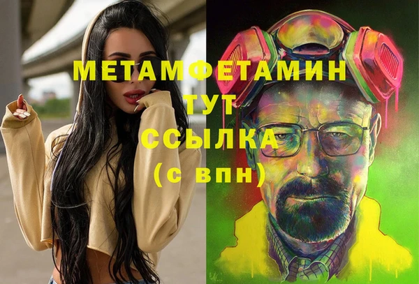 прущие грибы Михайловск